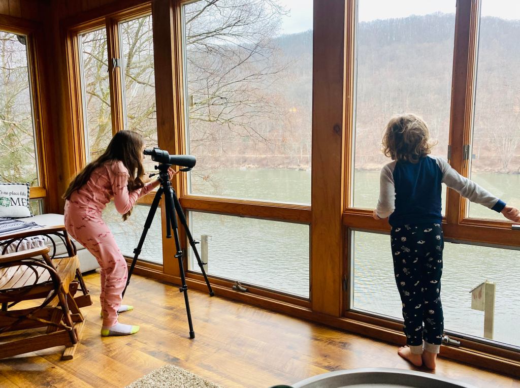 Hemingway, Me, and the Times&nbsp;again