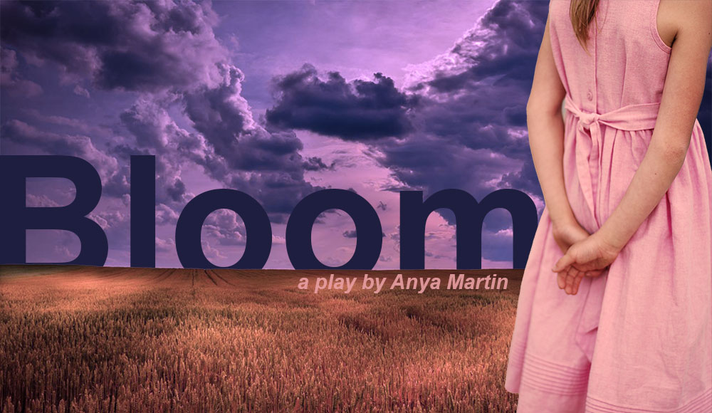 Dolly Parton, Coexisting with our Past, Present and Future Selves and my play “Bloom.” “Bloom” will be presented in the Appalachian Playwriting Festival with Parkway Playhouse in&nbsp;NC.